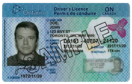 Can You Drive Outside Ontario on a G1 or G2?